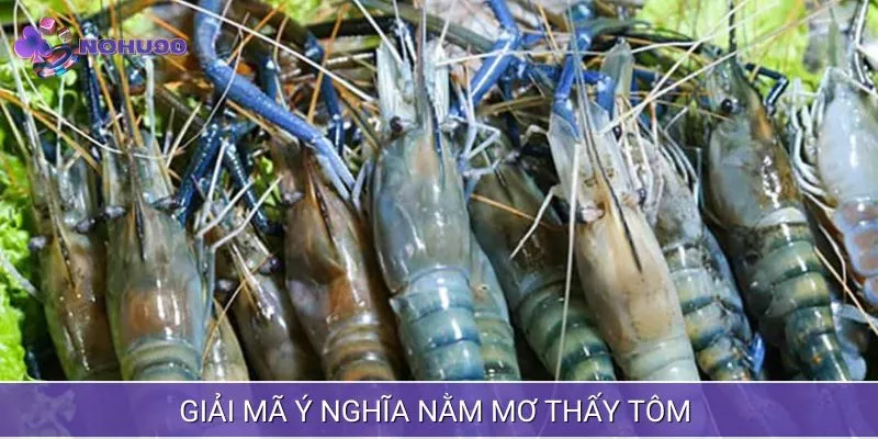 Giải mã ý nghĩa chi tiết giấc mơ về tôm dành cho bạn