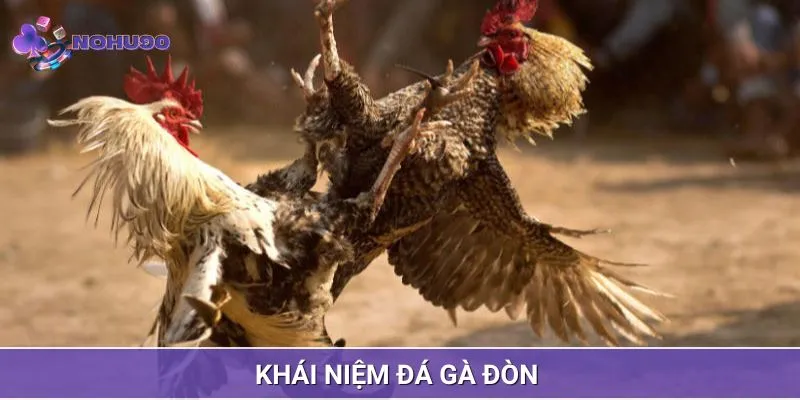 Đá gà đòn và khái niệm giúp ta hiểu hơn 